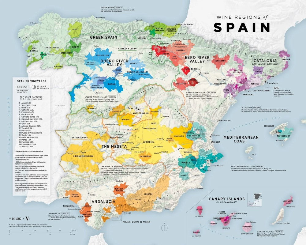 Wine Regions of Spain Map - Large