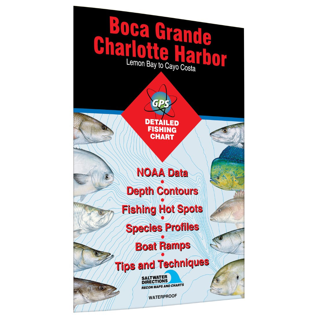 Boca Grande/Charlotte Harbor Lemon Bay to Cayo Costa Fishing Map