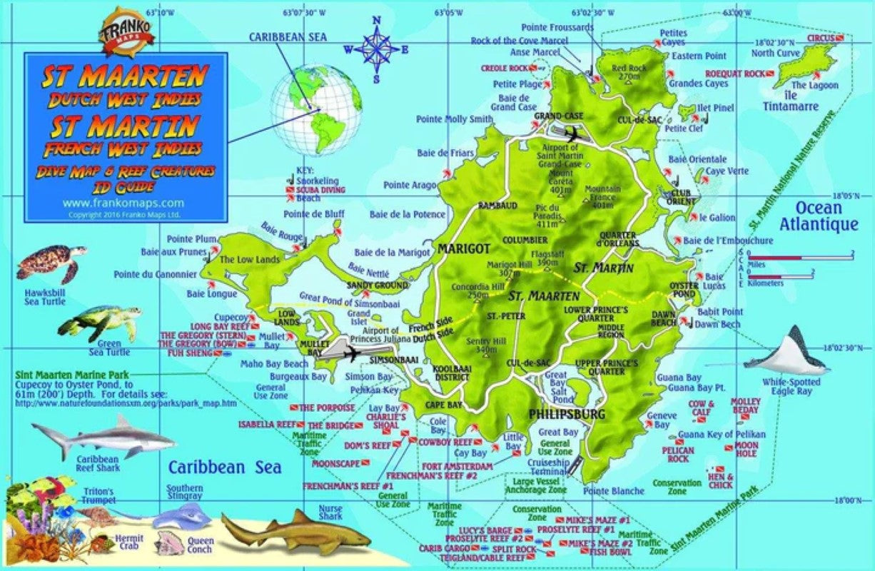 Caribbean Fish Card - St. Martin 2018