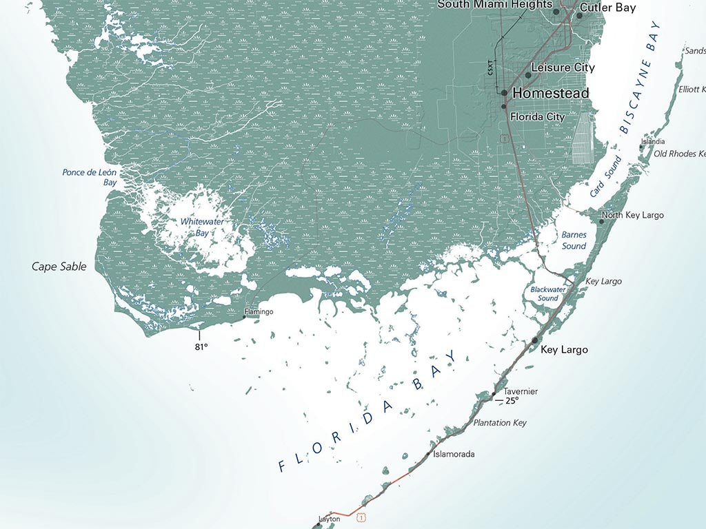 Florida Elevation Tints Fine Art Print Map