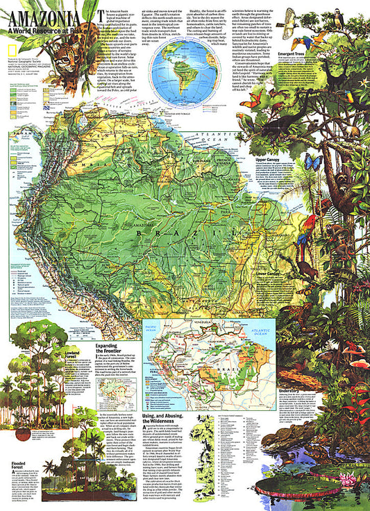 1992 Amazonia, a World Resource At Risk Map