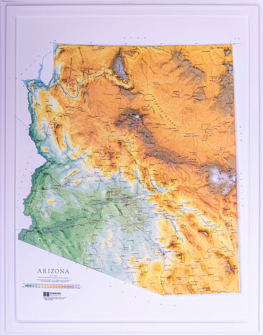 Arizona Raised Relief Map, Raven Style