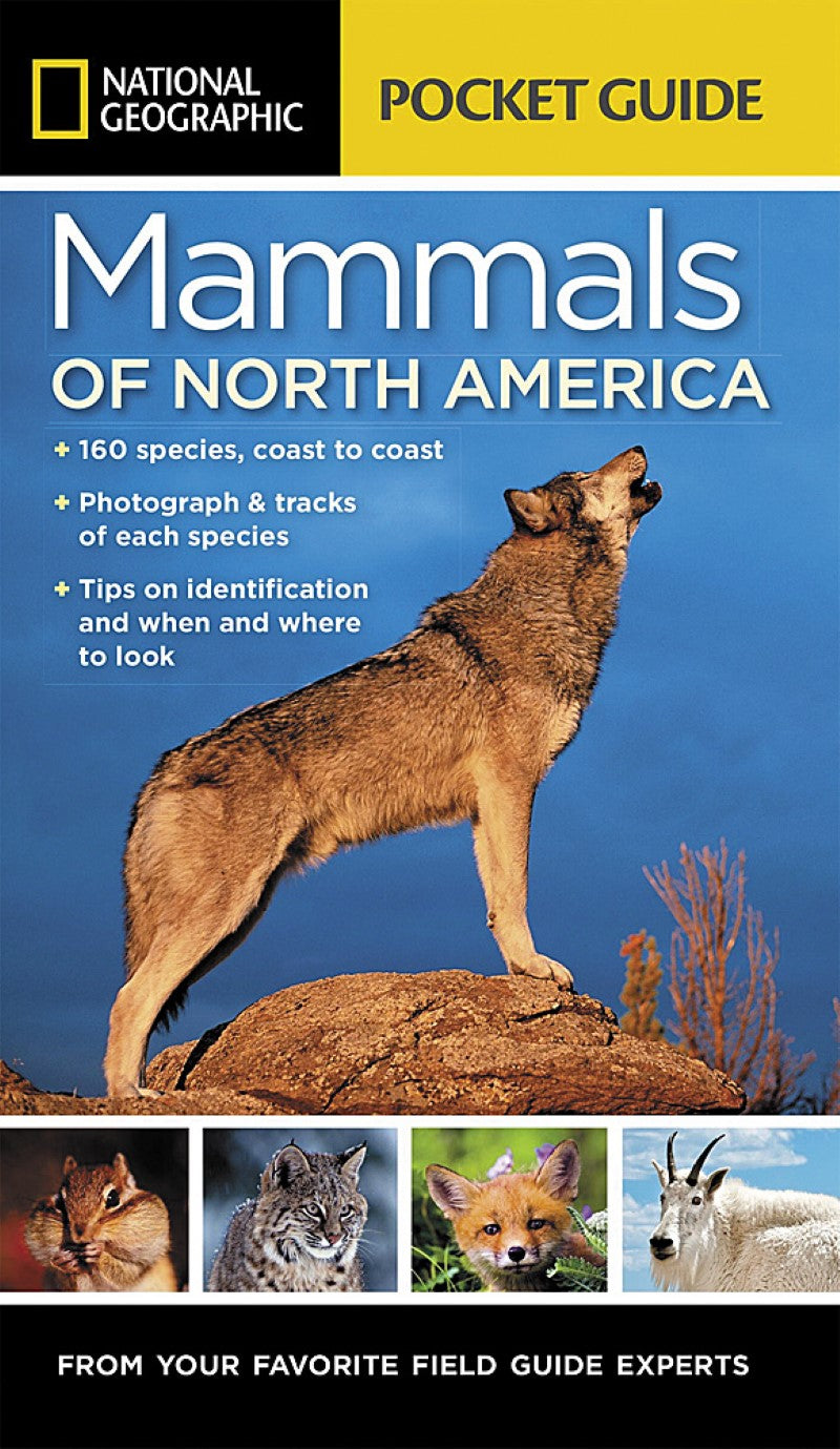 Pocket Guide to Mammals of North America