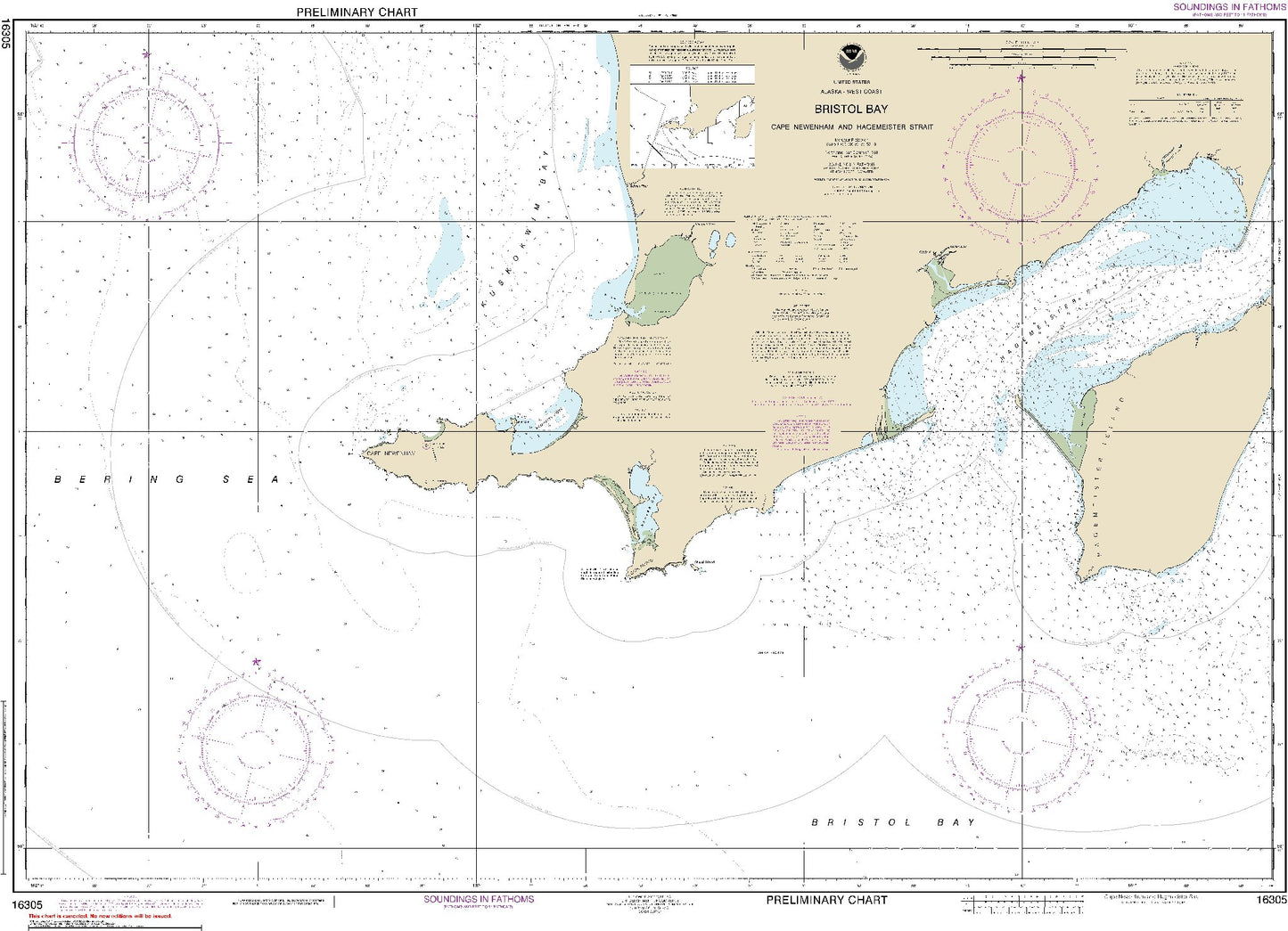 Bristol Bay - Cape Newenham and Hagemeister Strait (16305) by NOAA