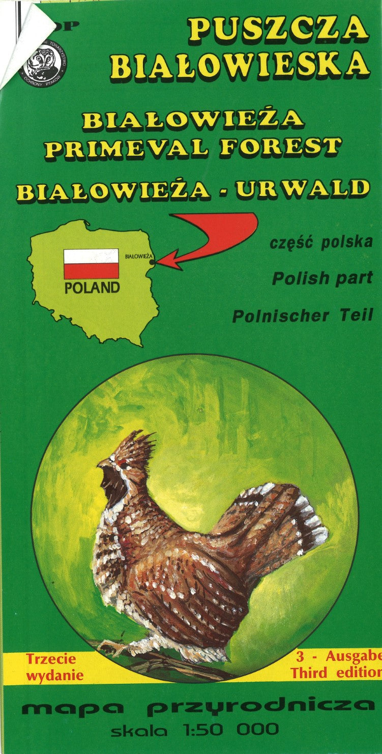 Bialowieza Forest.