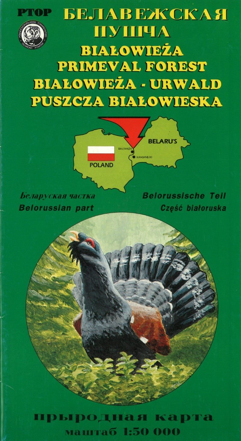 Primeval Forest (Belorussian part)