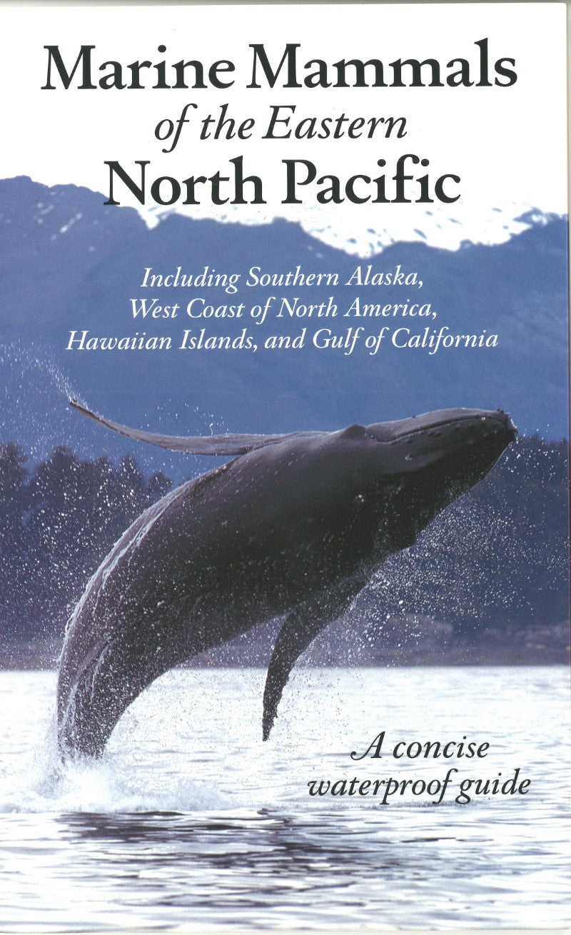 Northern Mammals of the Eastern North Pacific
