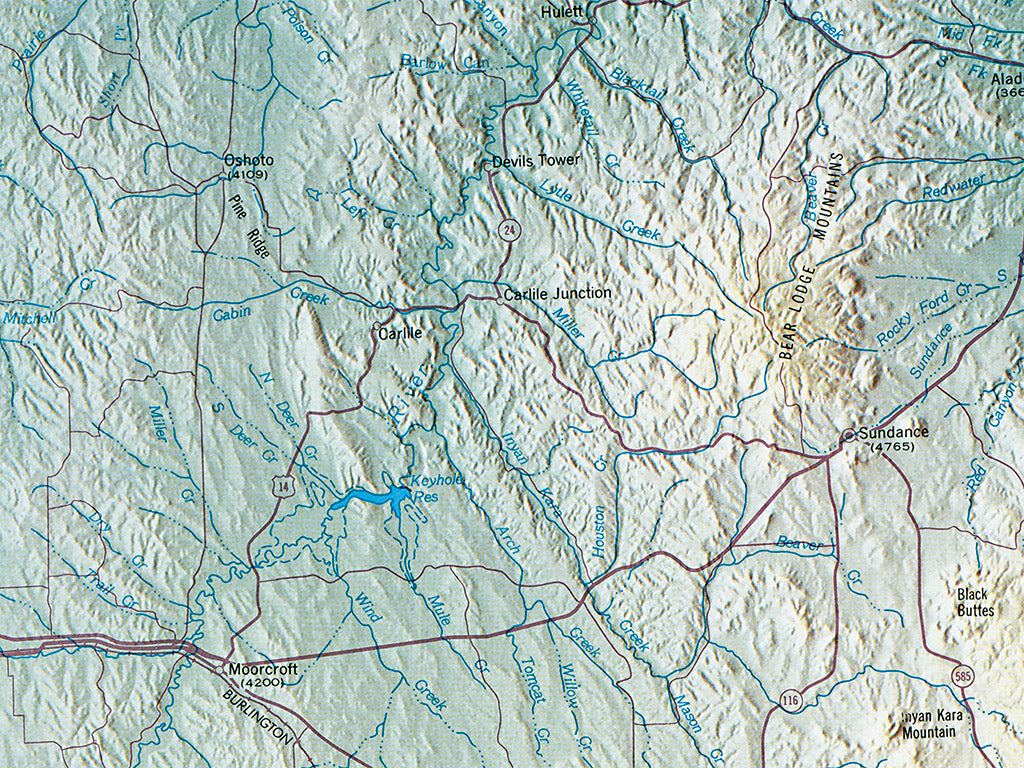 Wyoming Elevation Tints Fine Art Print Map