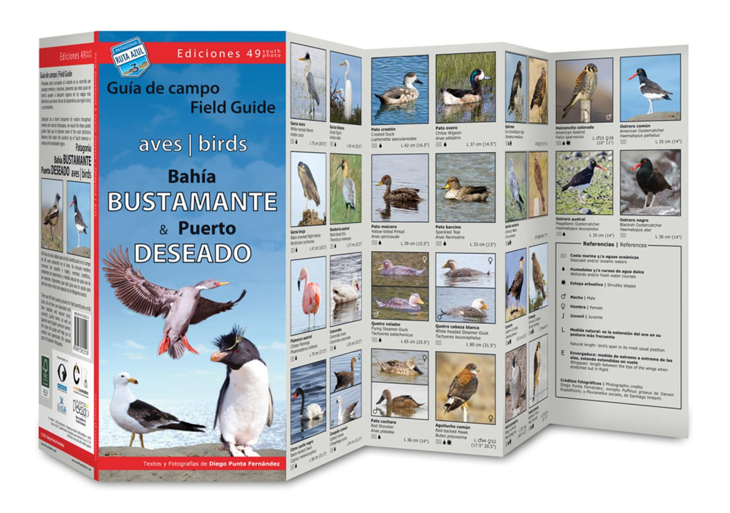 Bahía Bustamante & Puerto Deseado. : Birds