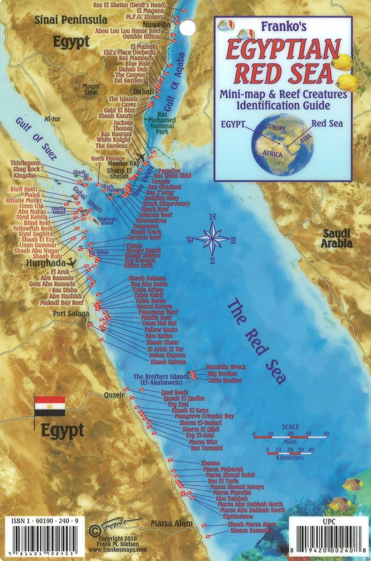 Egyptian Red Sea Mini map and Reef Creatures Identification Guide