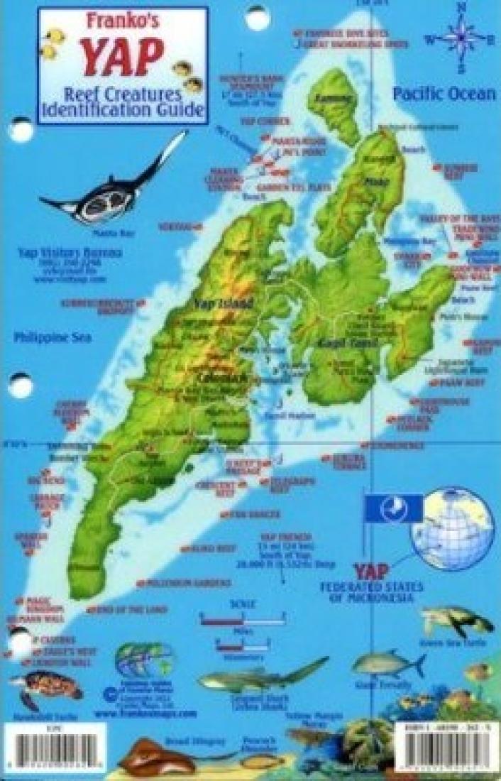 Franko's Yap : reef creatures and identification guide