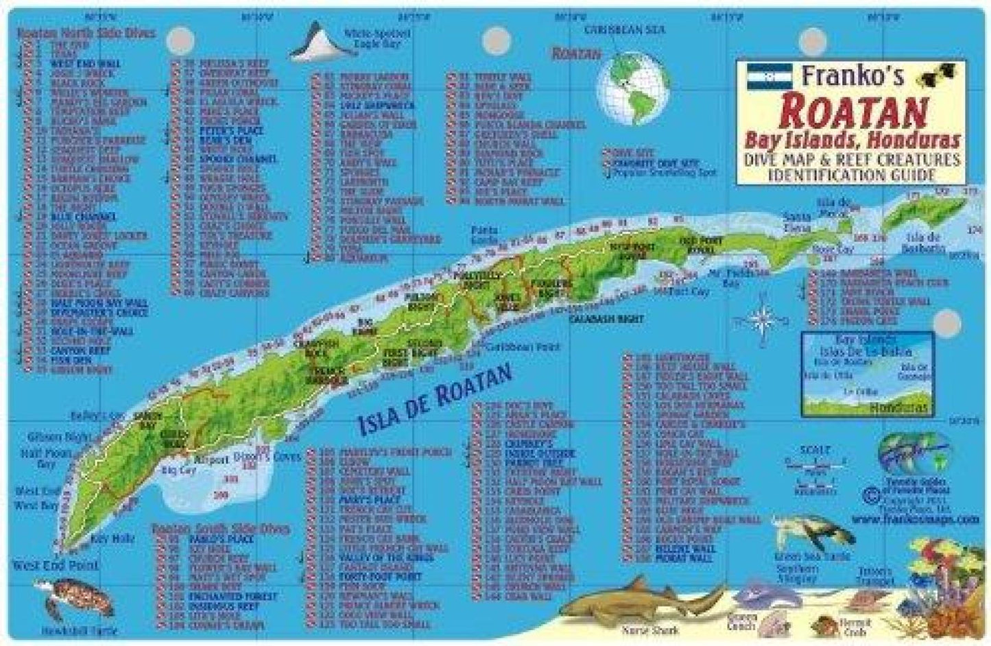 Caribbean Fish Card, Roatan