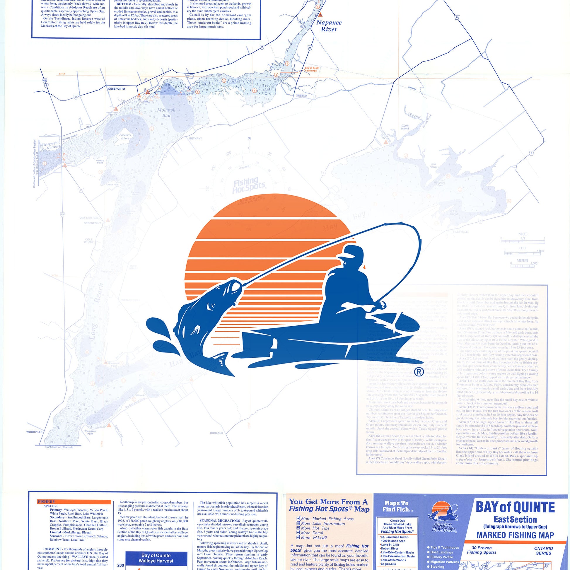 Bay of Quinte-E (Telegraph Narrows to Upper Gap) Fishing Map