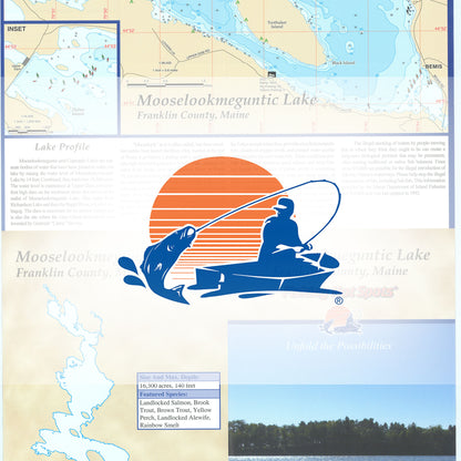 Mooselookmeguntic Lake fishing map