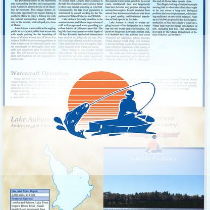 Lake Auburn Fishing Maps