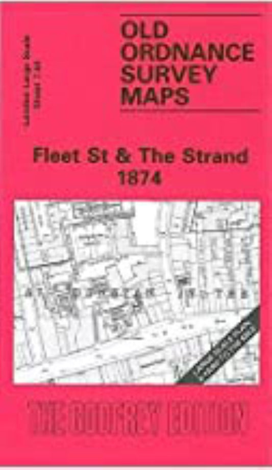 Fleet St & The Strand 1874 - Old Ordnance Survey Map (London Large Scale Sheet 7.64)