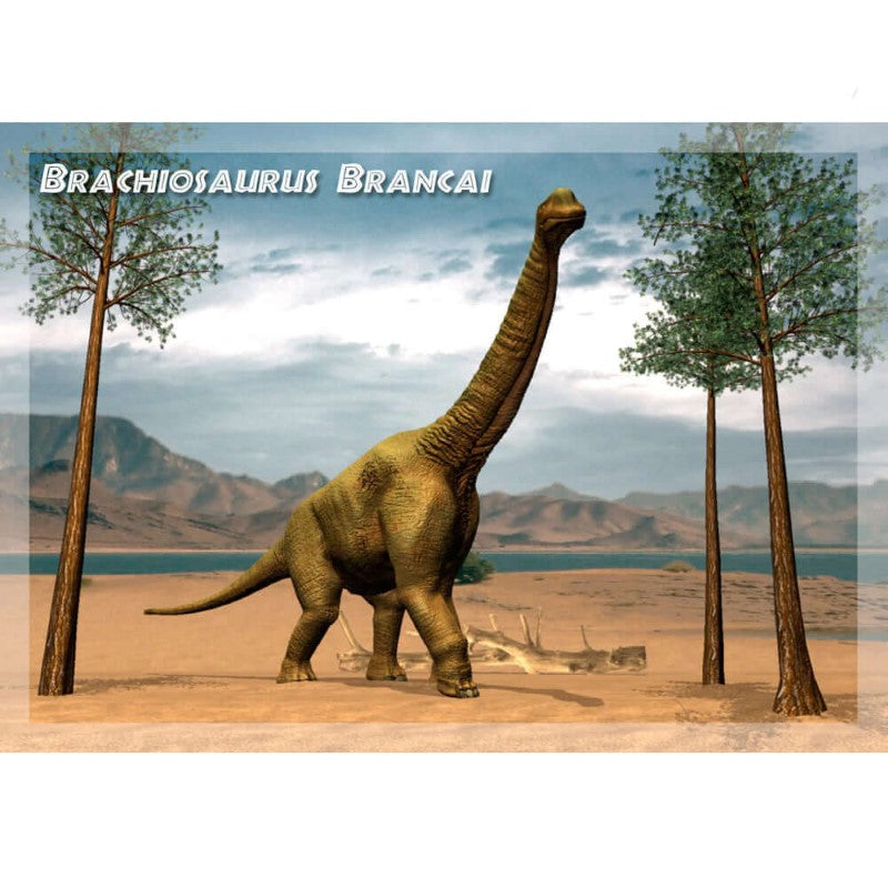 Brachiosaurus 3D Postcard