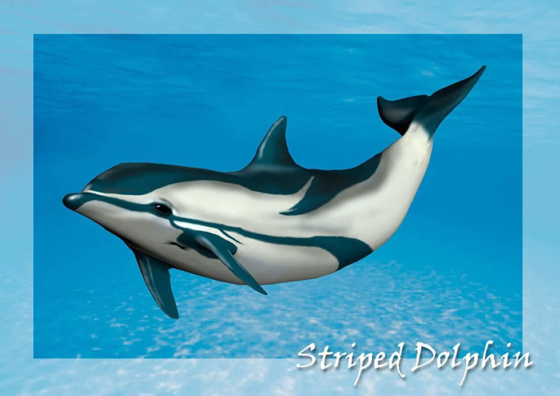 Striped Dolphin 3D Postcard