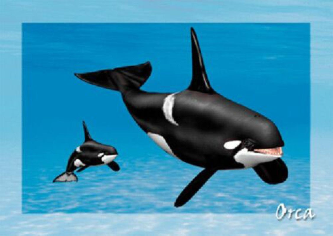 Orca 3D Postcard