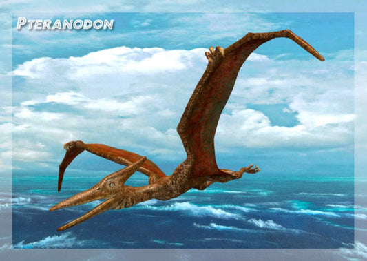 Pteranodon 3D Postcard