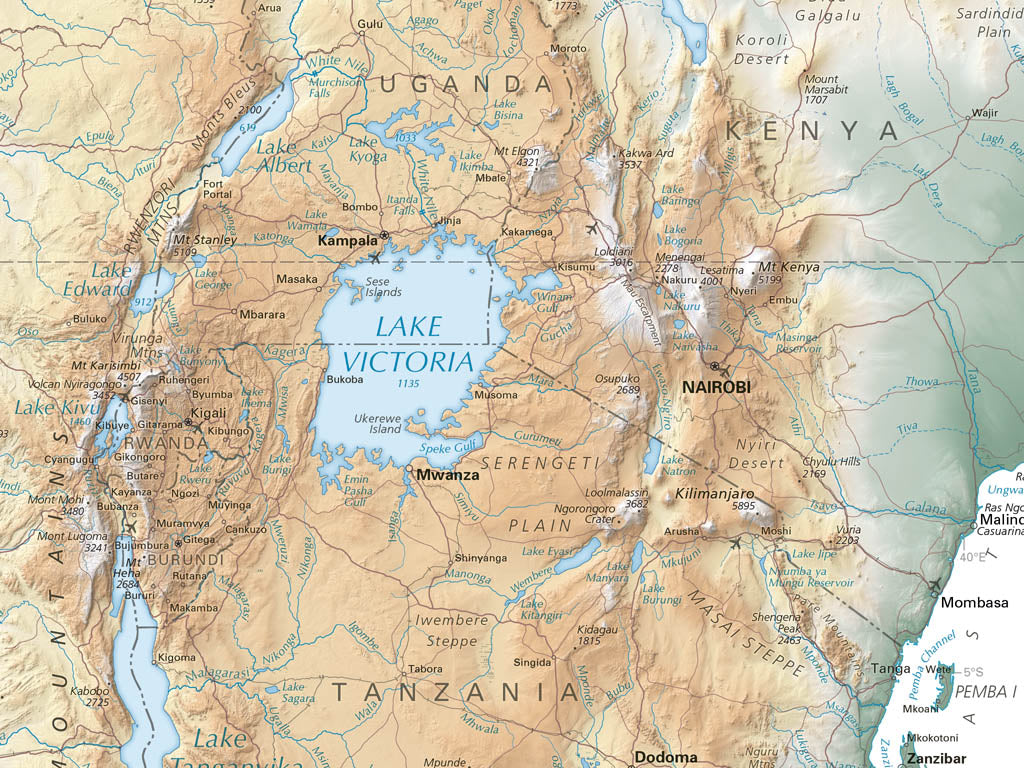 Africa Elevation Tints Fine Art Print Map