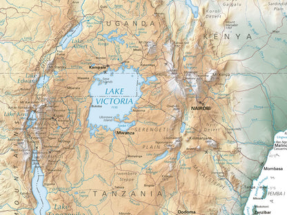 Africa Elevation Tints Fine Art Print Map