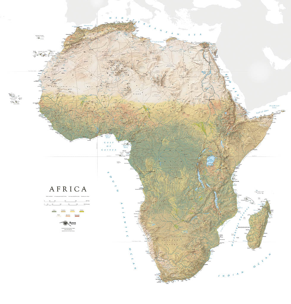 Africa Land Cover Fine Art Print Map