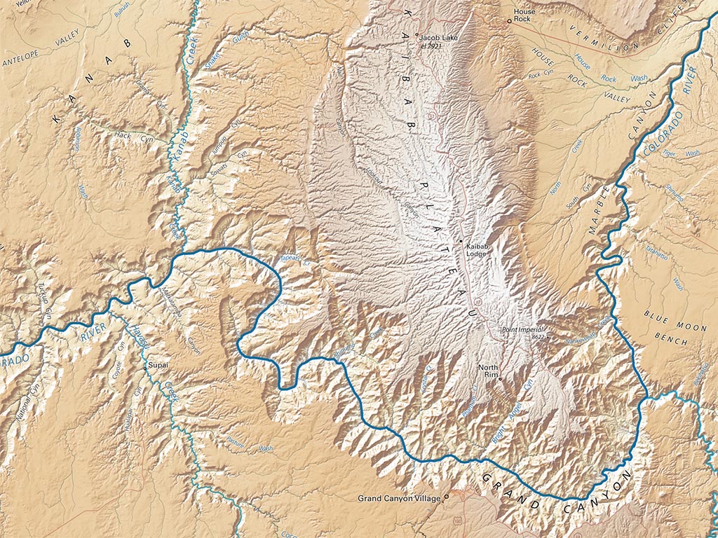 Arizona Elevation Tints Fine Art Print Map