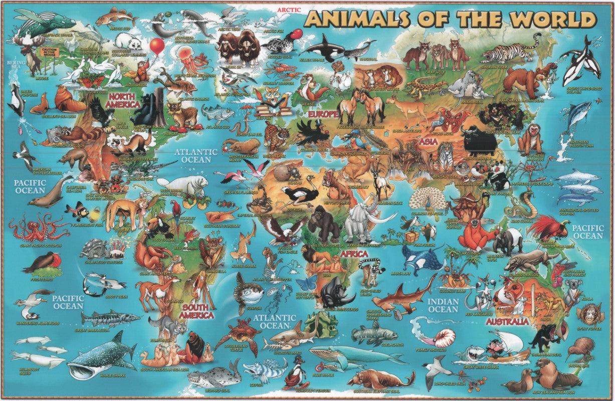 Dino's Illustrated Map of Animals of the World : 12" x 18"