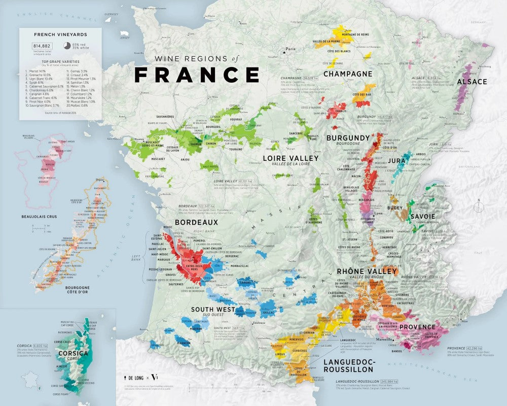 Wine Regions of France Map - Small