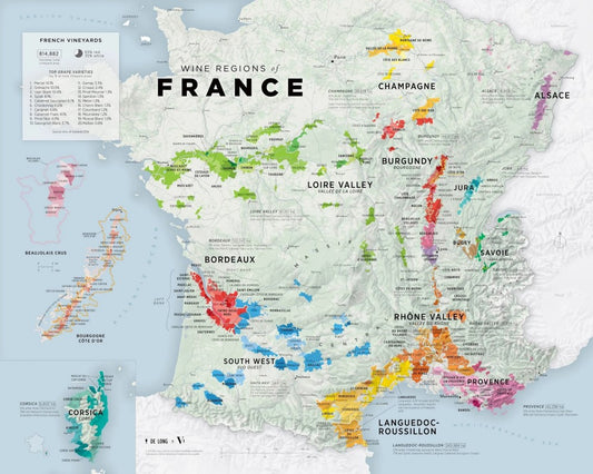 Wine Regions of France Map - Large