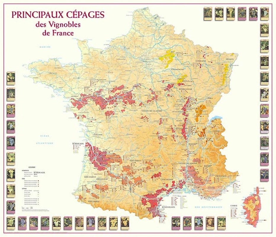 Carte des Principaux Cépages des Vignobles de France