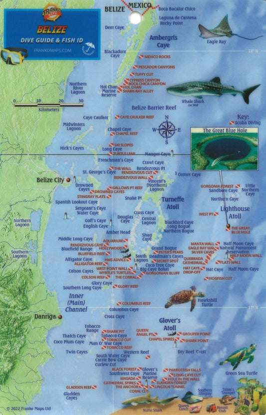 Franko's Belize : reef creatures identification guide : fits 3-ring dive log
