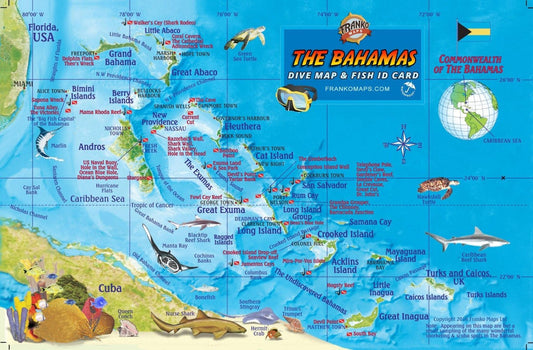 Bahamas Fish Card