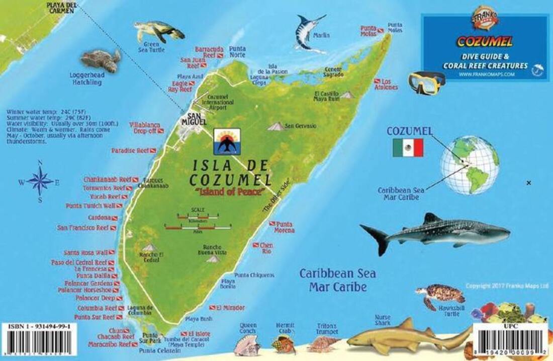 Franko's Cozumel : reef creatures guide : critauras del arrecife de Isla Cozumel