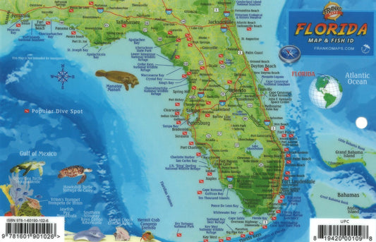 Franko's Florida : mini map & coral reef creatures identification guide