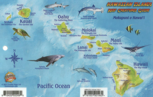 Hawaiian Islands, Reef Creatures Fish ID Card, 2023