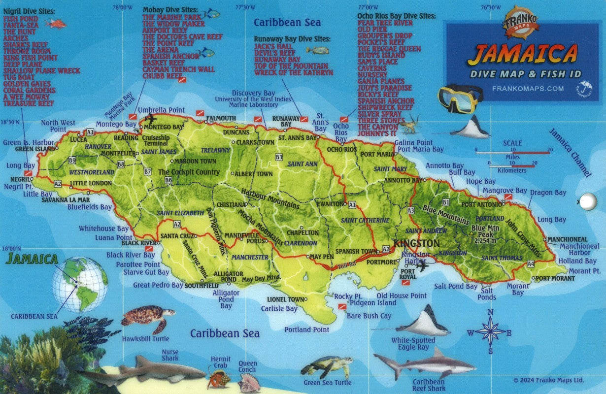Franko's Jamaica Dive Map & Reef Creatures Identification Guide