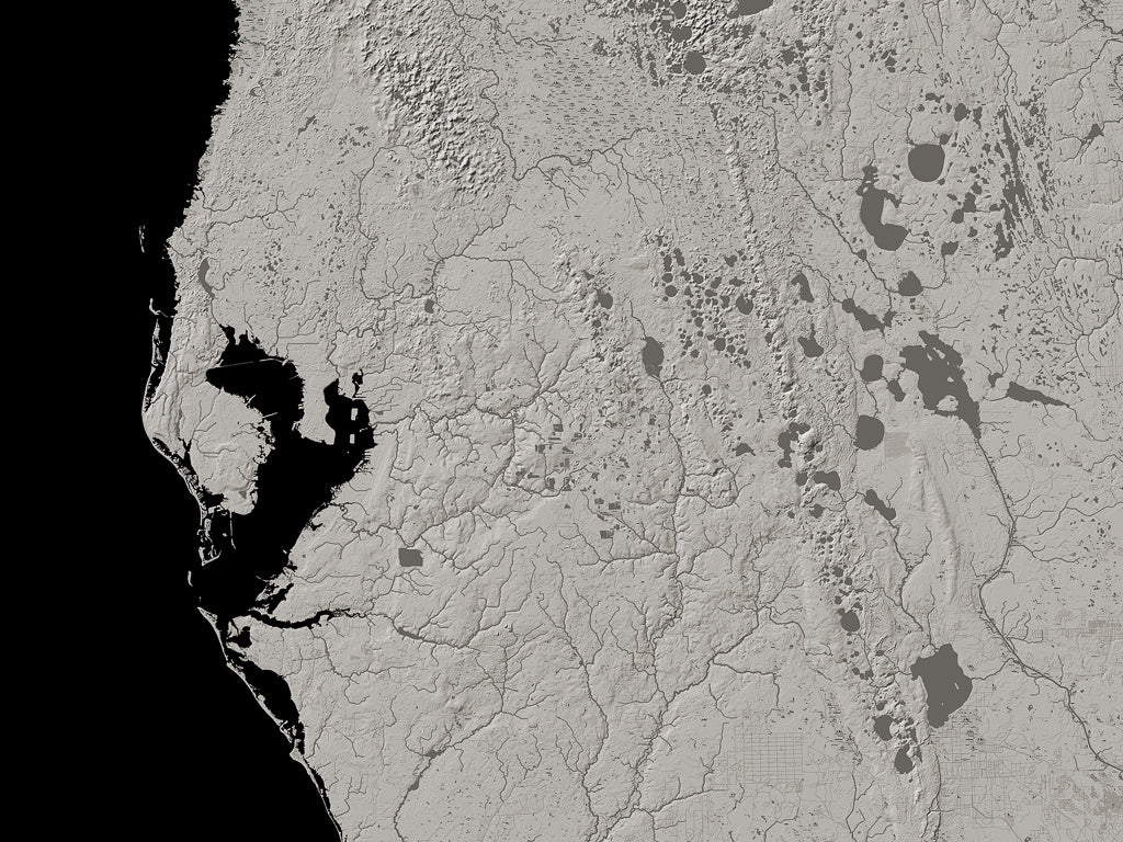 Florida Archival Print