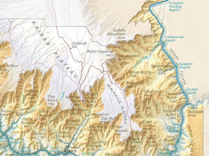 Grand Canyon National Park Elevation Tints Fine Art Print Map
