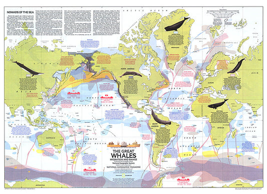 1976 Great Whales, Migration and Range Map