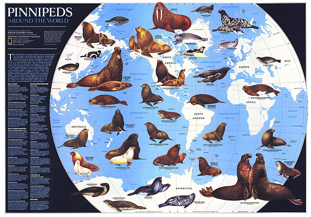 1987 Pinnipeds Around the World Map