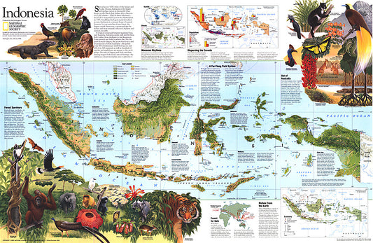 1996 Indonesia Theme Map