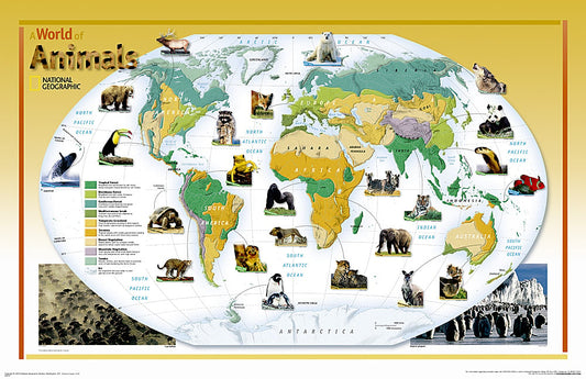 2004 World of Animals Map