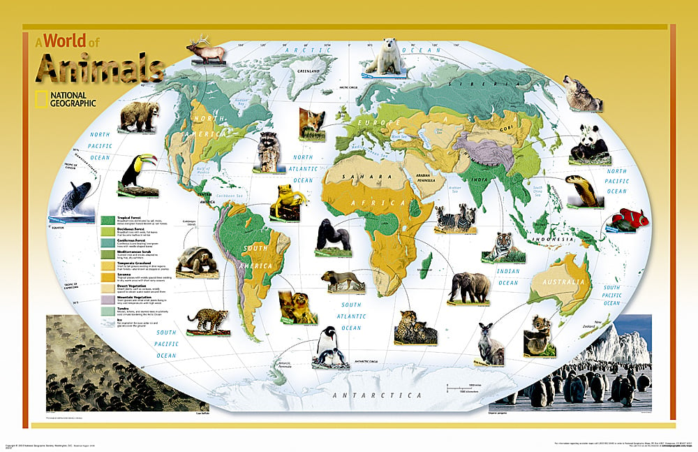 2004 World of Animals Map