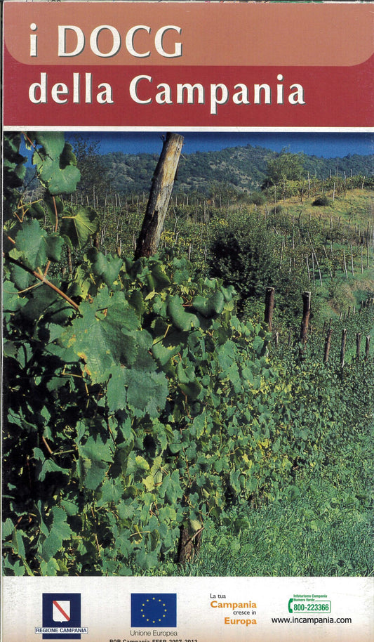 i DOCG della Campania