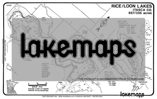 Itasca County, MN - RICE / Loon - Lakemap - 12125