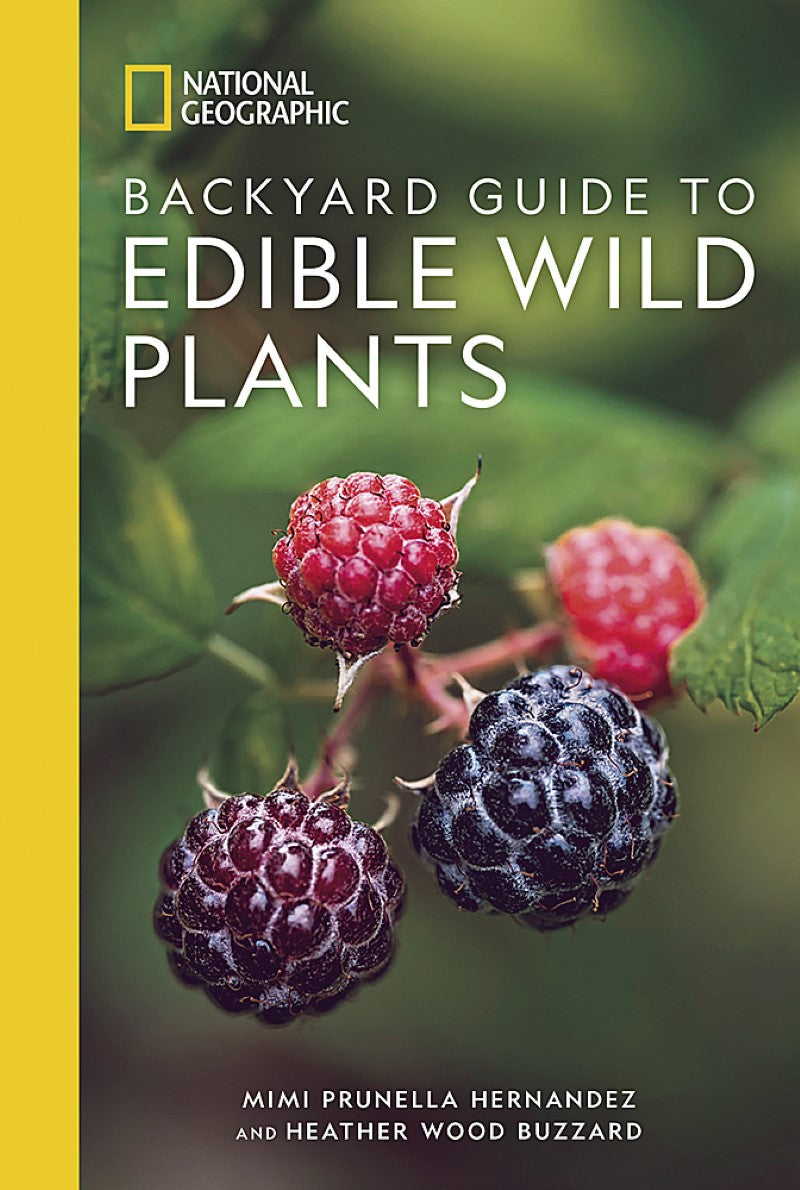 Backyard Guide to Edible Wild Plants