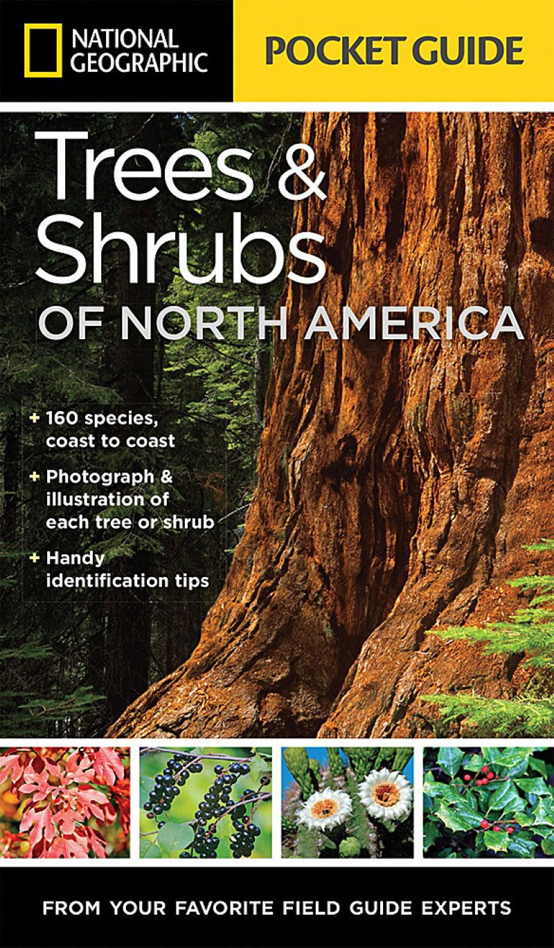 Pocket Guide to Trees and Shrubs of North America