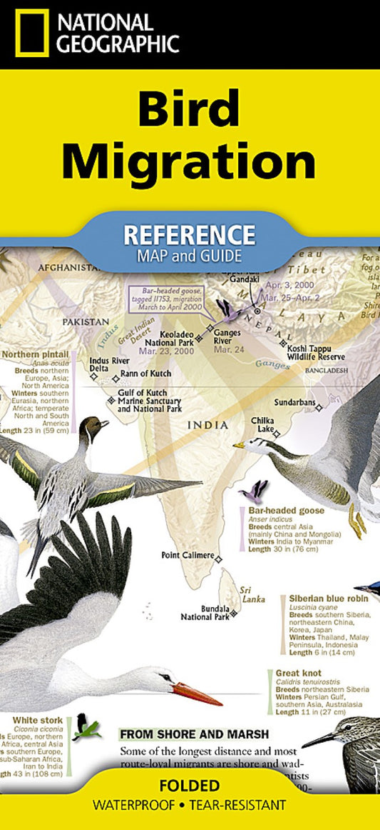 Bird Migration Map (folded)